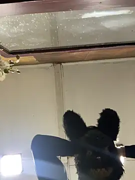 Elpichulotote20 online show from November 6, 12:13 am