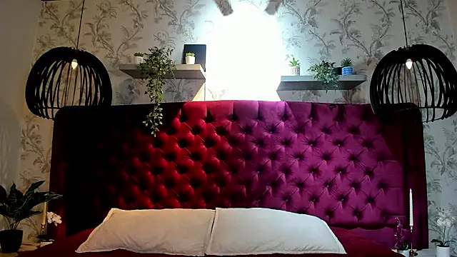 Noah dupont  online show from February 5, 11:50 am