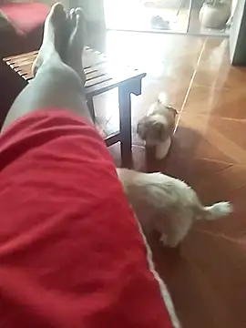 adventon online show from March 25, 3:49 pm