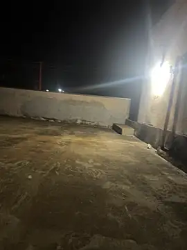 LontraAndBear online show from February 17, 6:34 am