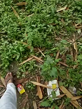 Pagelboy 089 online show from March 15, 3:25 am