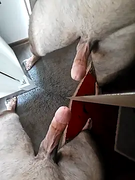 Shady88 online show from February 5, 10:55 am