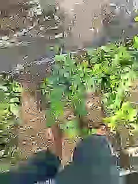 Cute Boy 4 online show from July 16, 4:30 am