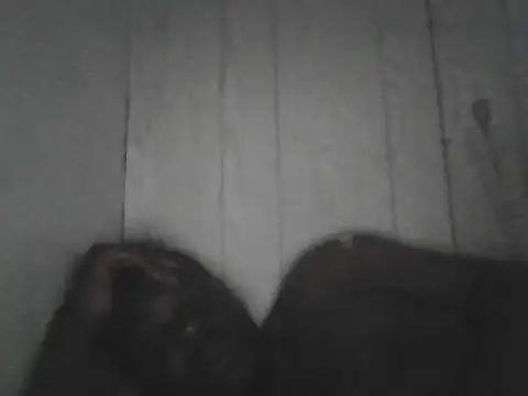 Prikev38452 online show from March 15, 10:27 pm