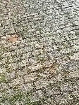 DiamanteNegro90 online show from April 7, 11:43 am