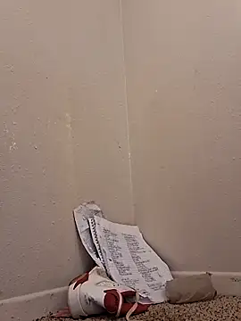 stressrliver88 online show from April 13, 1:28 am