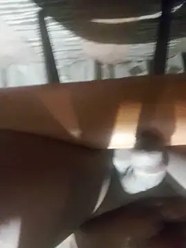 Cookiesucker2025 online show from March 15, 11:55 pm