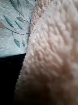 iambesting online show from February 28, 11:20 am