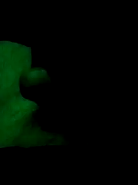 itsdaddyjeey online show from April 3, 11:40 am