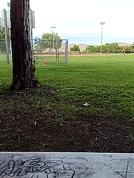 Leon6564 online show from April 20, 2:03 am