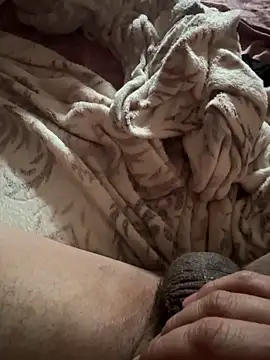 RapotorE online show from April 10, 11:39 am