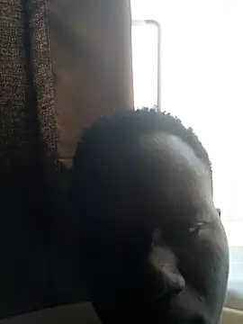 Darkfaruk online show from June 21, 11:16 am