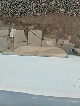 Big boss ind online show from March 21, 1:04 pm