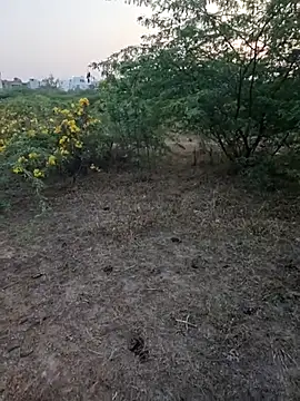 rameshmry1 online show from March 5, 12:34 pm