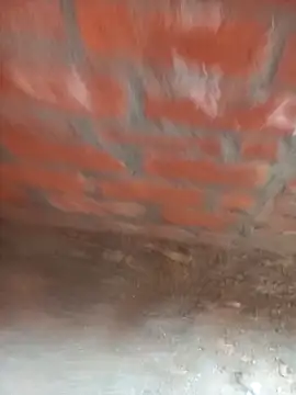 FinableKnee online show from February 22, 6:59 am