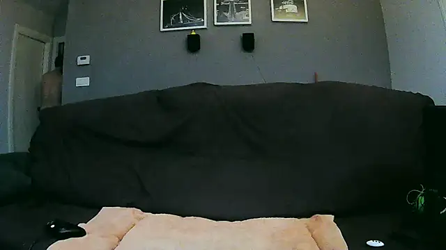 txan9876 online show from February 11, 6:51 am