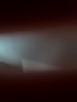 1714914111 online show from November 14, 3:13 pm