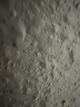 Hornbody online show from April 10, 7:32 pm