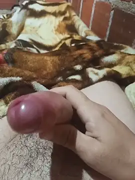w31 online show from July 24, 10:33 am