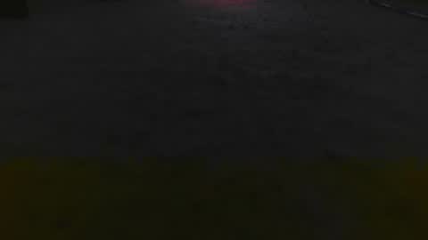 1337assman1337 online show from November 25, 8:16 am