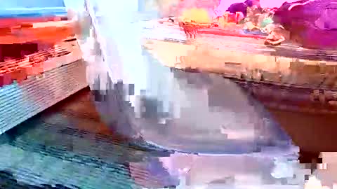 2d4p online show from March 25, 11:47 am