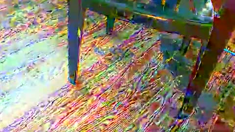 69forever453443 online show from November 24, 1:56 pm