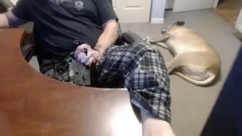 MASTIFF online show from December 21, 7:33 pm