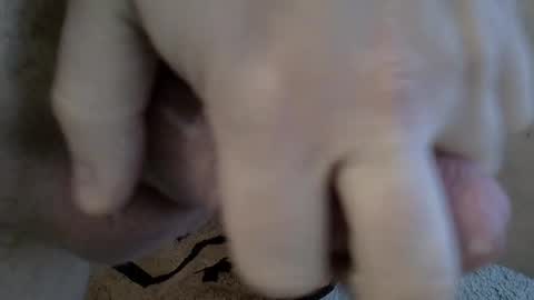 Maximilian Max online show from February 10, 11:04 am