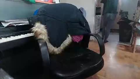 Adam and Logan online show from February 18, 9:23 pm