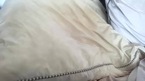 adriiiii online show from October 4, 12:54 pm