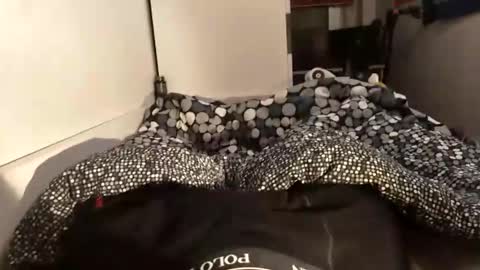 adrisex2002 online show from December 9, 6:41 pm