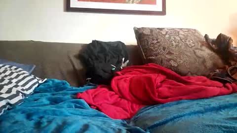 Alexinside you online show from October 20, 12:25 am