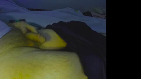 alphablue_wolf1295 online show from December 4, 7:06 am