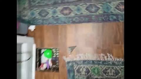 alwaysjerkinit94 online show from September 27, 2:09 am