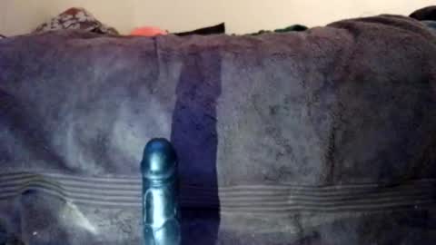 analpeg420 online show from April 21, 5:57 am