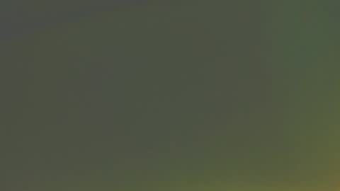 Snapshot of andionline chatting on December 3, 6:03 am andreas online show from December 3, 6:03 am