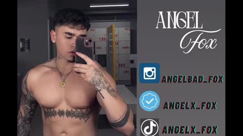 Angel Fox online show from January 7, 5:56 am