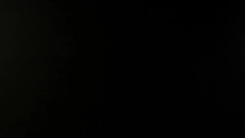 Angel Fox online show from December 2, 9:37 pm