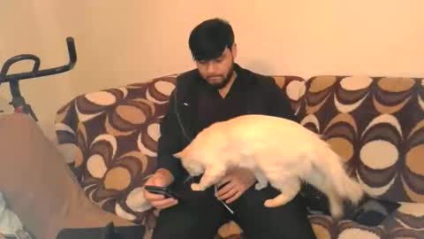 Deimos online show from December 16, 5:14 am