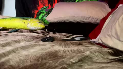 Snapshot of angusbone01 chatting on December 17, 7:40 am angusbone01 online show from December 17, 7:40 am