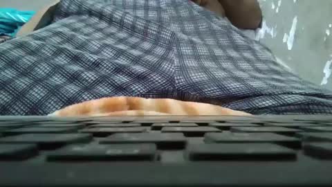 art_max99xxx online show from January 11, 11:13 pm