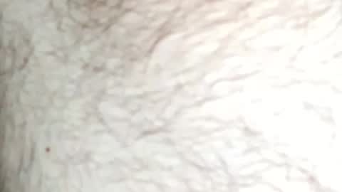 babaceta online show from December 14, 5:58 am