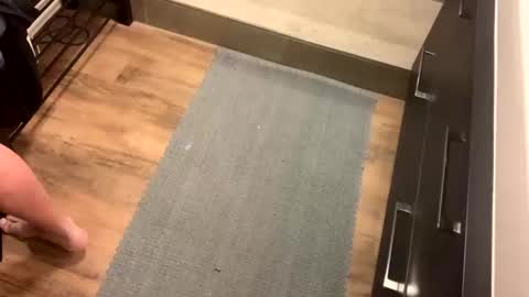 bdsm_toyboy online show from January 10, 8:07 am