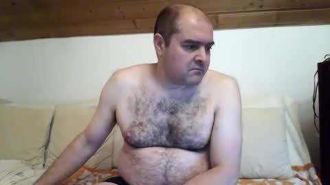 Snapshot of bear037 chatting on December 26, 12:46 am bear037 online show from December 26, 12:46 am