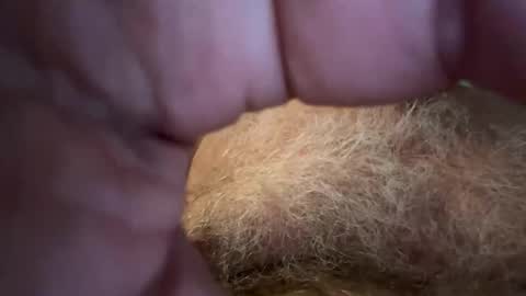 benz10001 online show from December 22, 12:57 pm