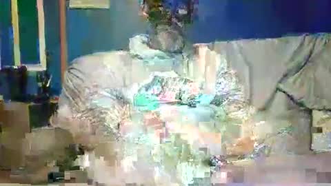 big9inchsnake online show from January 4, 8:06 am