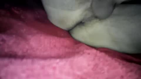 big_dick_daddy_412 online show from February 12, 8:06 am