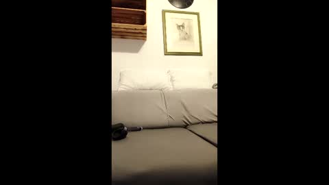 ...... online show from December 16, 6:48 pm