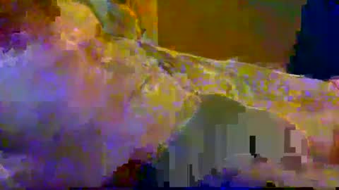 bigrig online show from December 10, 12:16 pm