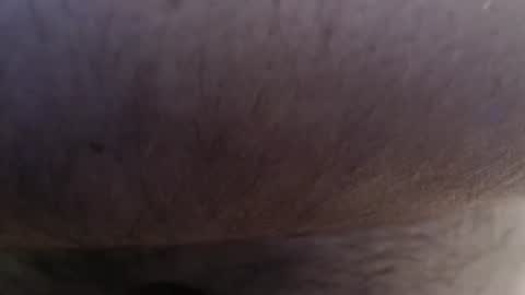 Snapshot of bigstudjohn22 chatting on September 27, 10:46 am bigstudjohn22 online show from September 27, 10:46 am